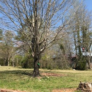 Meet your Posher, Eduardo